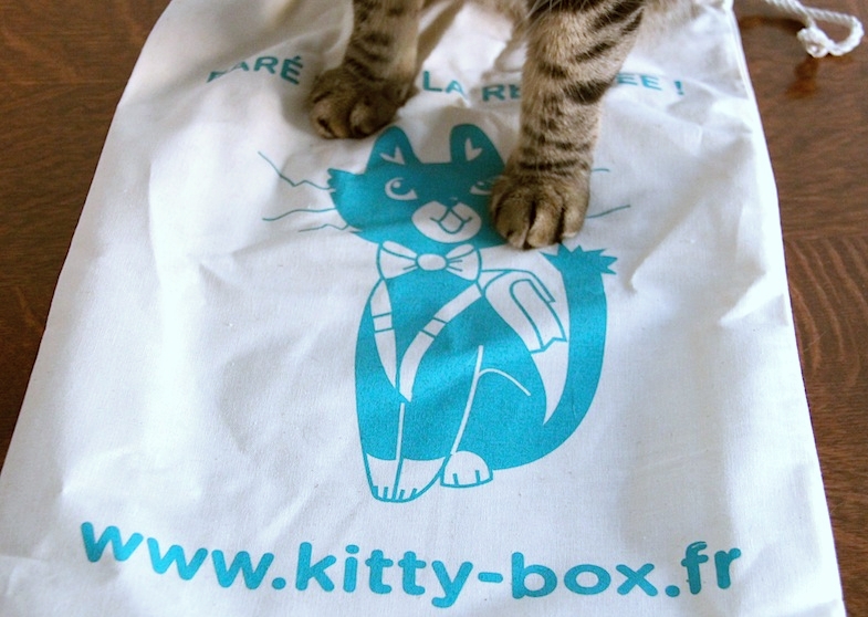 Kittybox rentree aout-10
