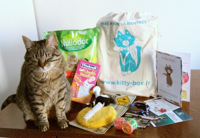 Kittybox rentree aout-2